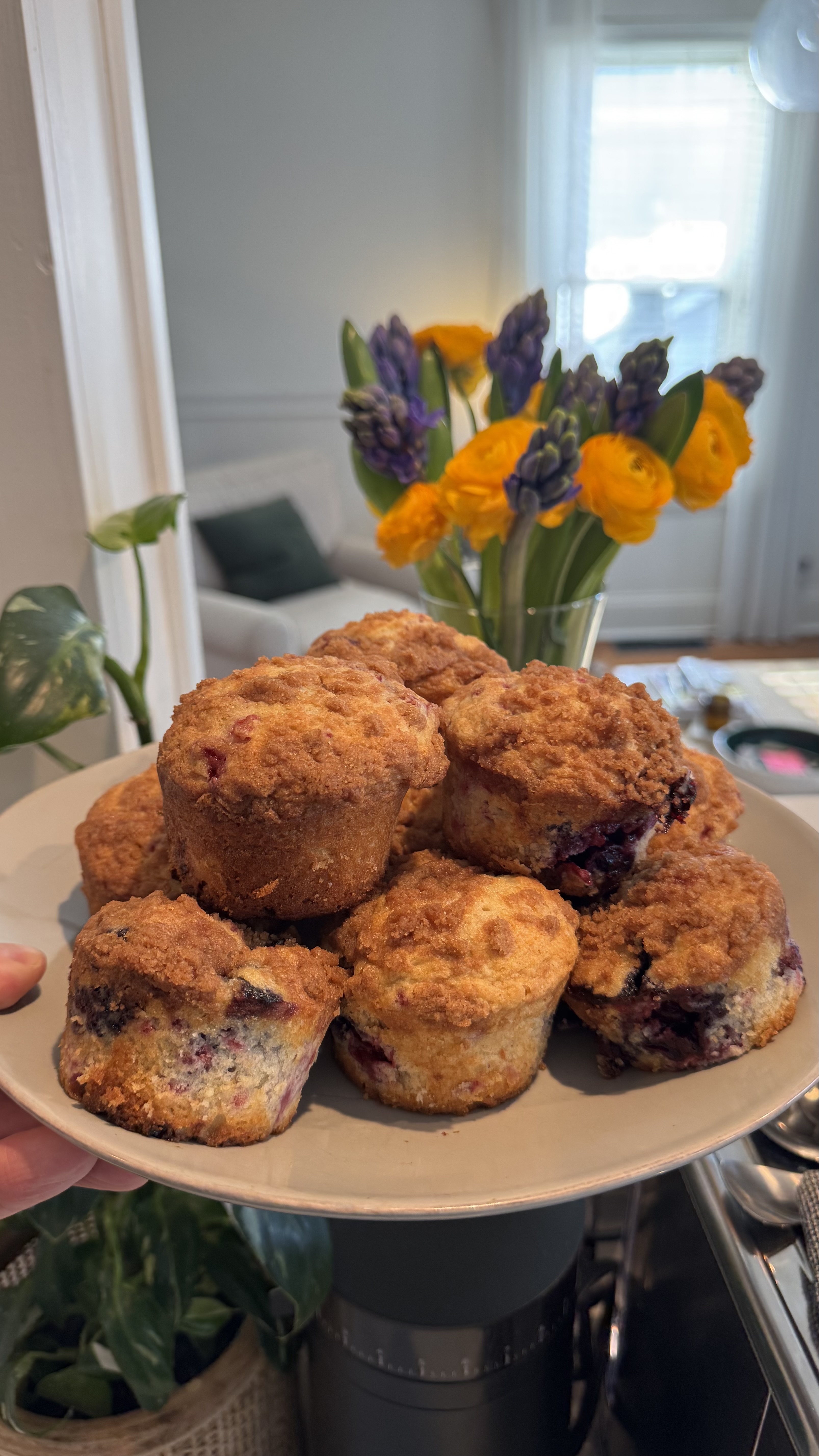 To Die For Blueberry Muffins